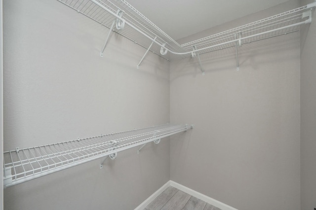 walk in closet with hardwood / wood-style floors