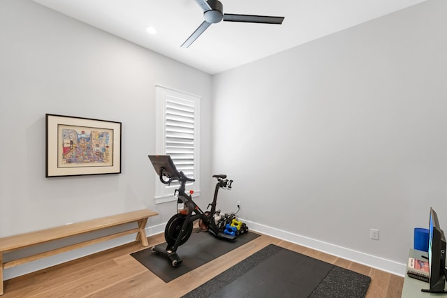 workout area with ceiling fan and hardwood / wood-style floors