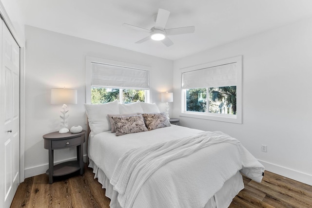 bedroom with ceiling fan, dark wood-type flooring, and a closet