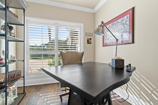 office space featuring dark hardwood / wood-style flooring and ornamental molding