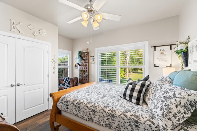 bedroom with ceiling fan, dark wood-type flooring, and a closet