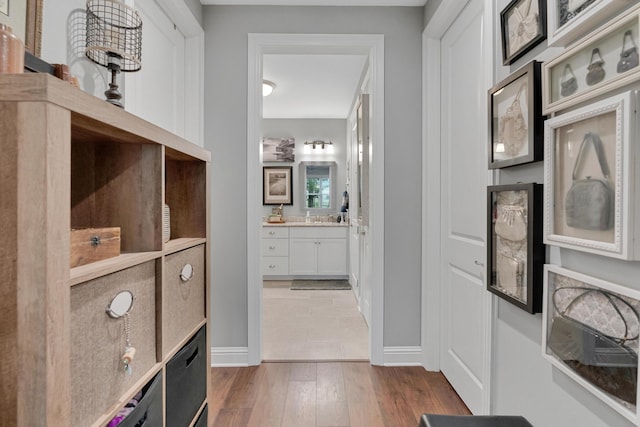 spacious closet with hardwood / wood-style flooring