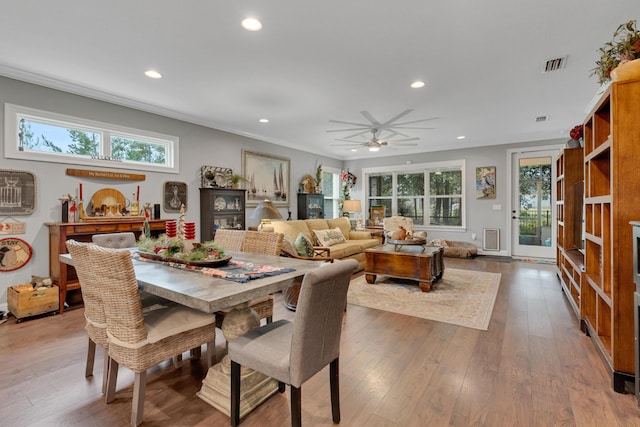 dining room featuring ceiling fan, crown molding, plenty of natural light, and light wood-type flooring