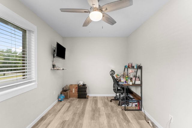 office area featuring ceiling fan and light hardwood / wood-style flooring