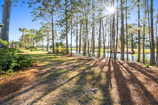 view of yard with a water view