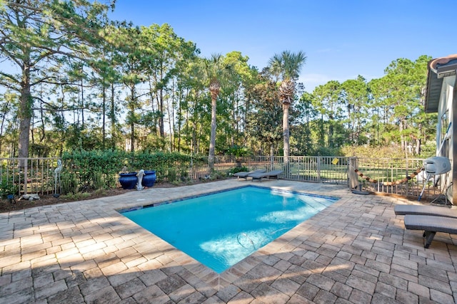 view of pool with a patio