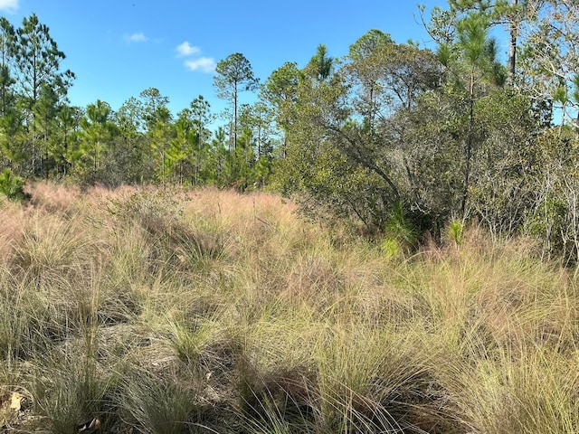 Listing photo 3 for TBD Lilly Ln, Santa Rosa Beach FL 32459