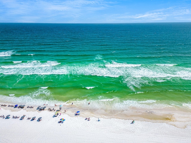 water view featuring a beach view