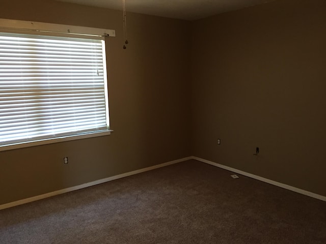 spare room with carpet