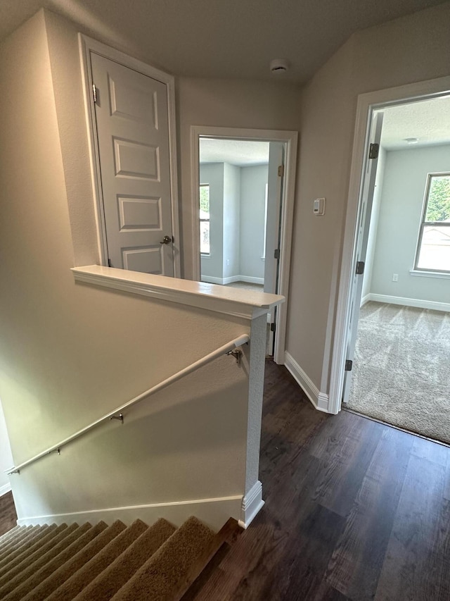 stairway with hardwood / wood-style floors