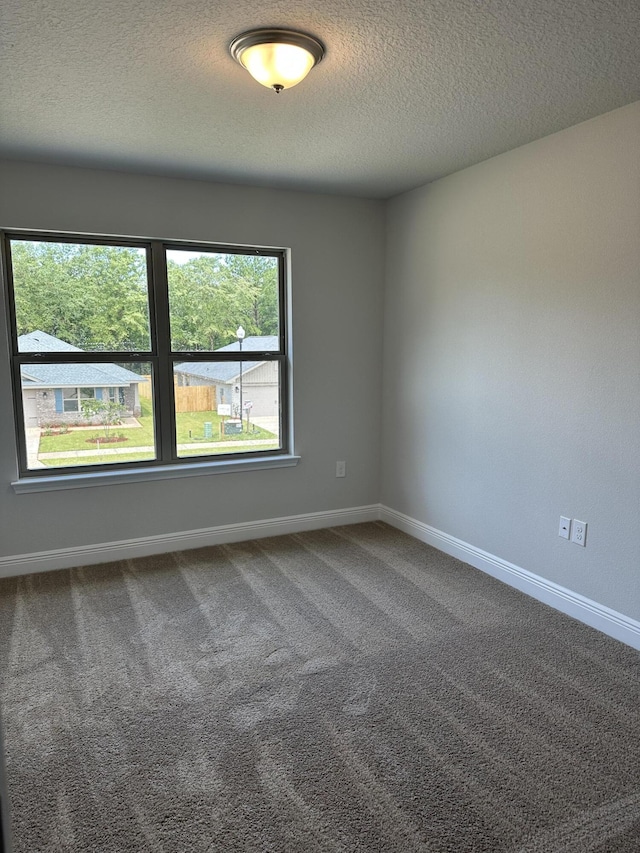 carpeted spare room with a textured ceiling and a wealth of natural light