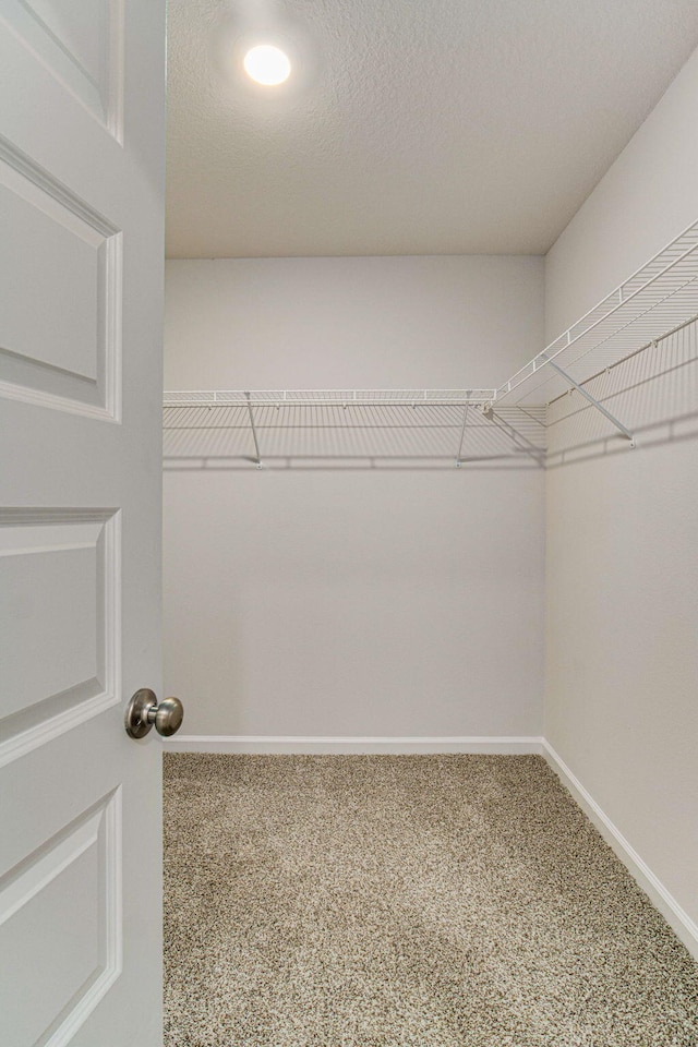 walk in closet with carpet floors