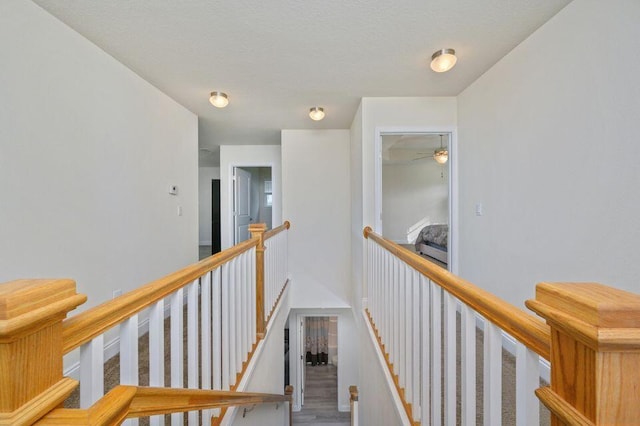 hall featuring hardwood / wood-style floors and a textured ceiling