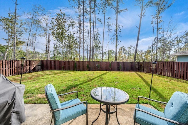 view of yard with a patio area