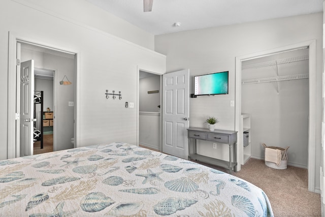 bedroom with ceiling fan, a closet, and carpet floors