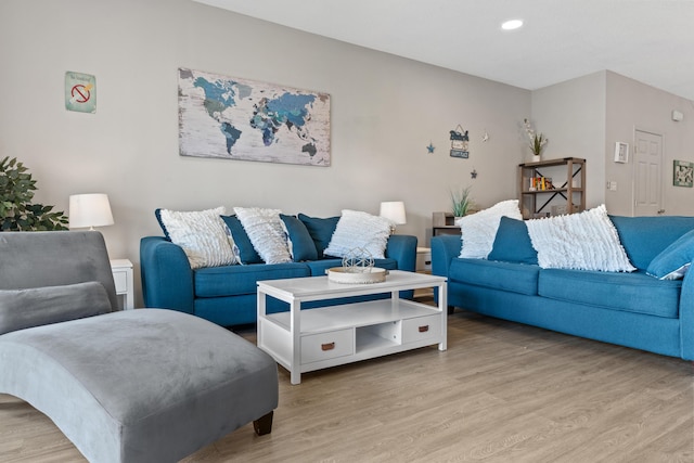 living room with light hardwood / wood-style flooring