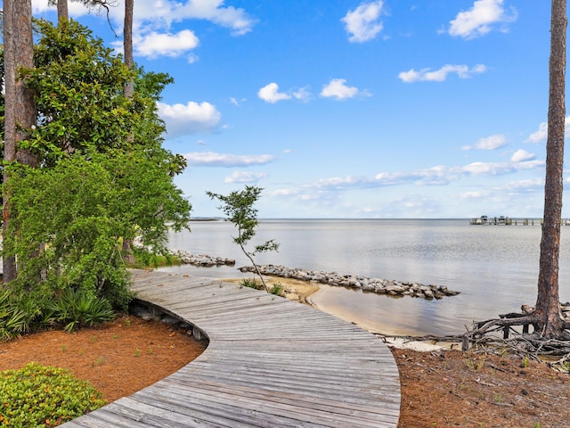 dock area featuring a water view