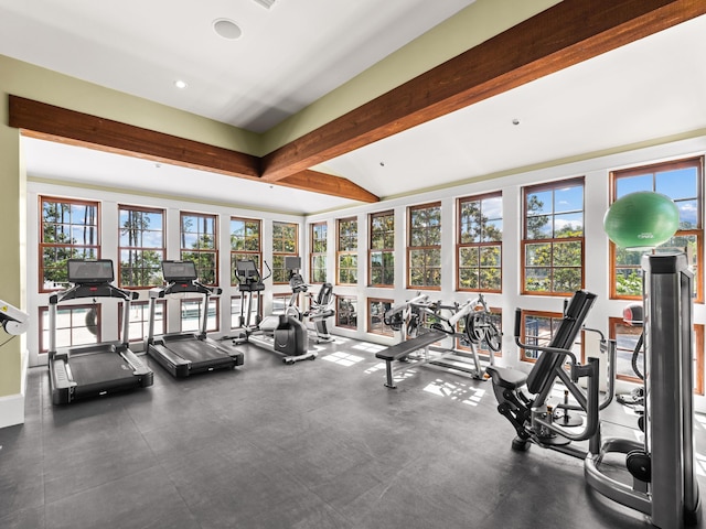 gym featuring lofted ceiling