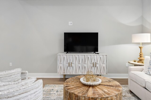 living room featuring hardwood / wood-style floors