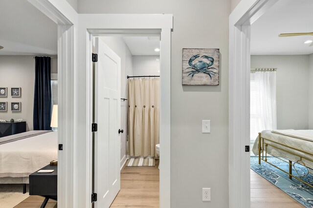 hallway with light hardwood / wood-style floors