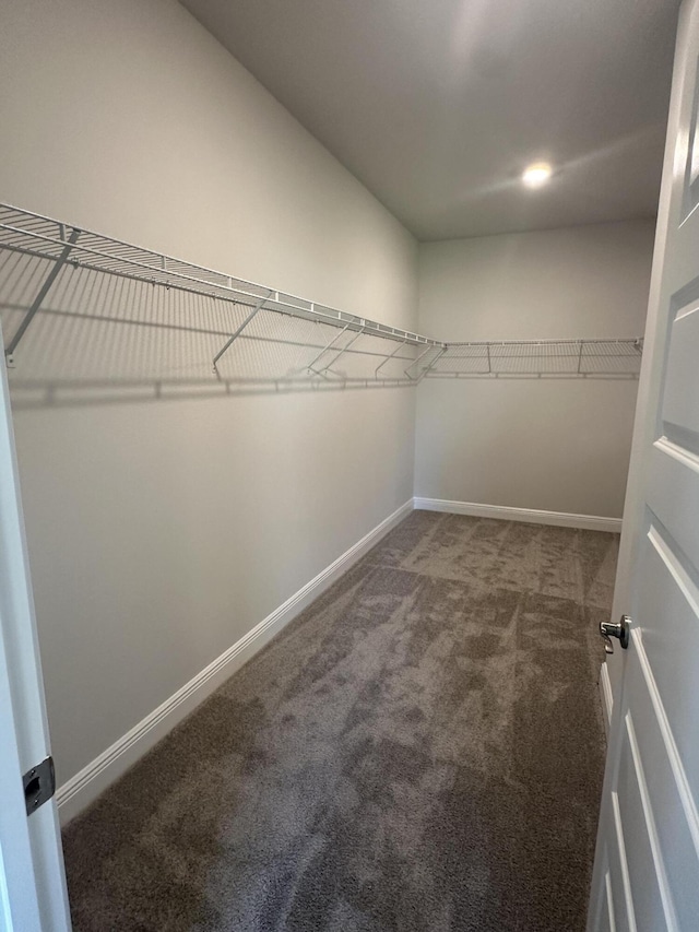 spacious closet featuring dark carpet