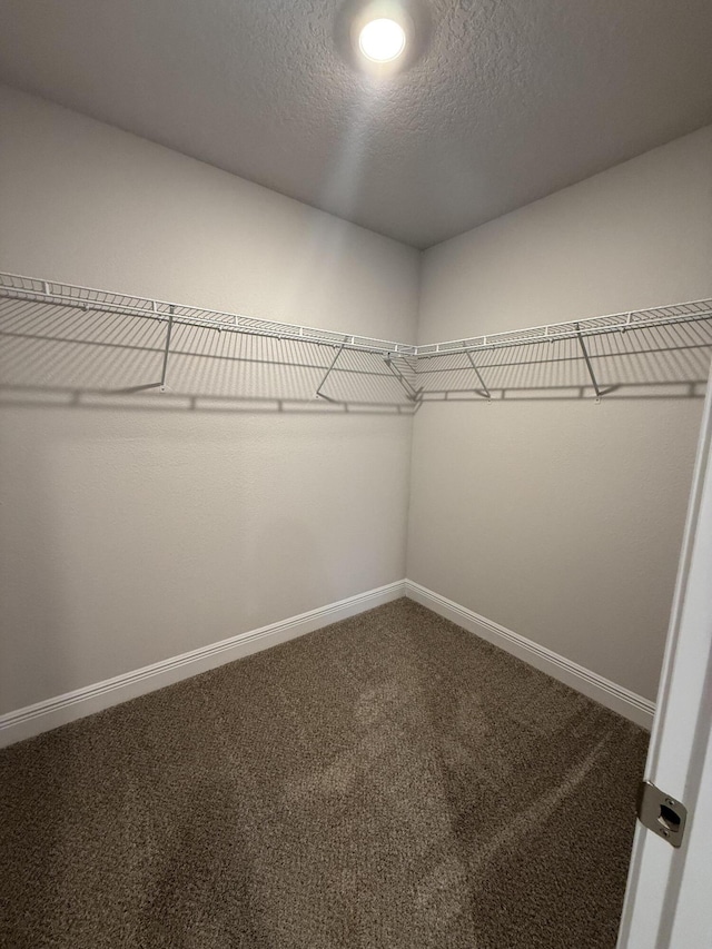 150 Ridgeway Cir, Crestview, FL 32536 - spacious closet with carpet