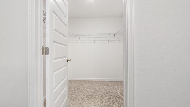 spacious closet featuring light colored carpet