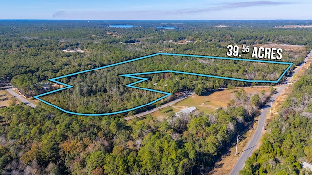 Listing photo 2 for 39.5ACRES Spradlin Rd, Defuniak Springs FL 32433