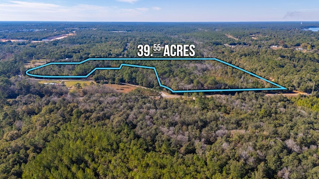 Listing photo 3 for 39.5ACRES Spradlin Rd, Defuniak Springs FL 32433