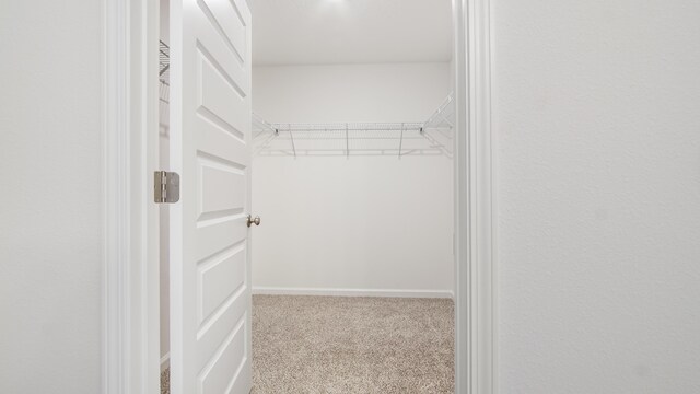 walk in closet featuring light carpet