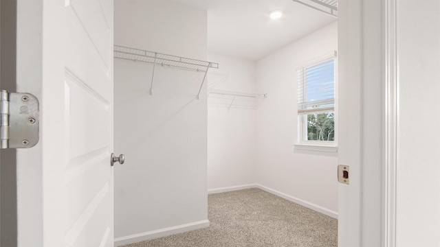 spacious closet with light carpet