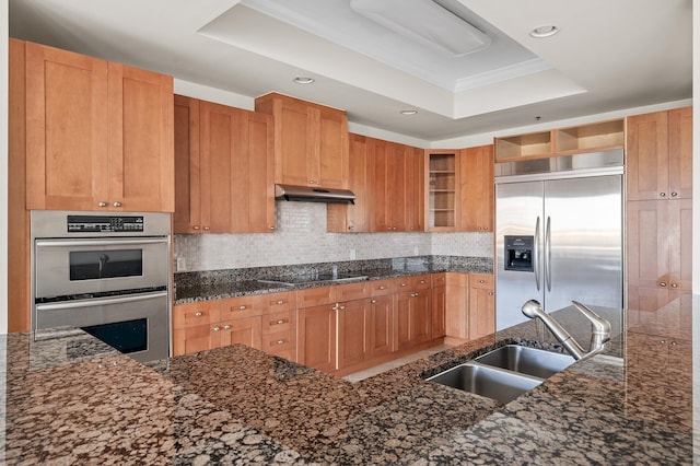 kitchen featuring dark stone counters, sink, ornamental molding, a tray ceiling, and stainless steel appliances