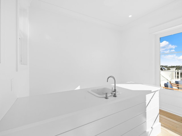 bathroom featuring sink and wood-type flooring