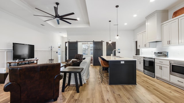 kitchen with light hardwood / wood-style floors, a barn door, white cabinetry, and appliances with stainless steel finishes