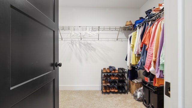 spacious closet featuring carpet