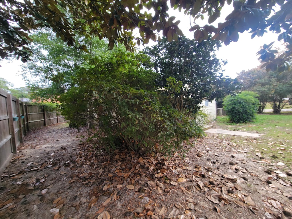 174 N 10th St, Defuniak Springs, FL 32433 - view of fenced backyard