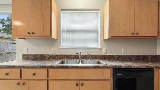 kitchen with dishwasher and sink