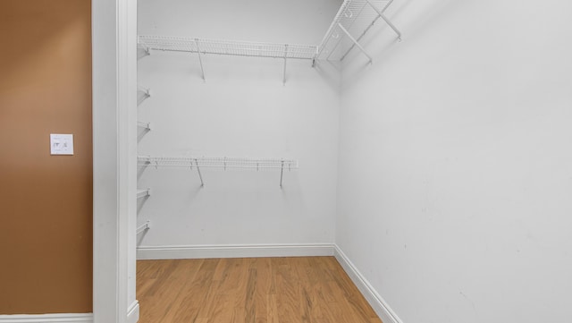 walk in closet with wood-type flooring