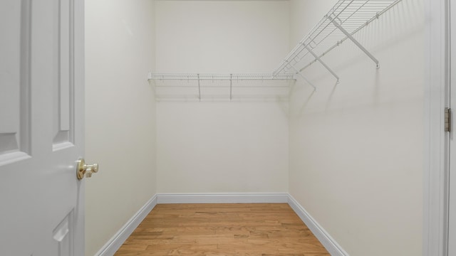 spacious closet featuring light hardwood / wood-style flooring