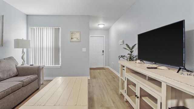 living room featuring light hardwood / wood-style floors