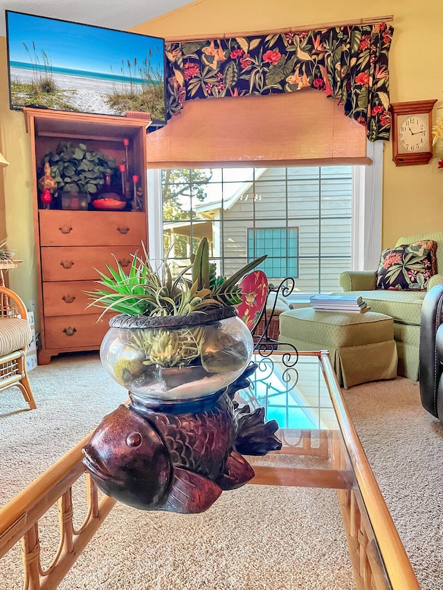 living room with carpet