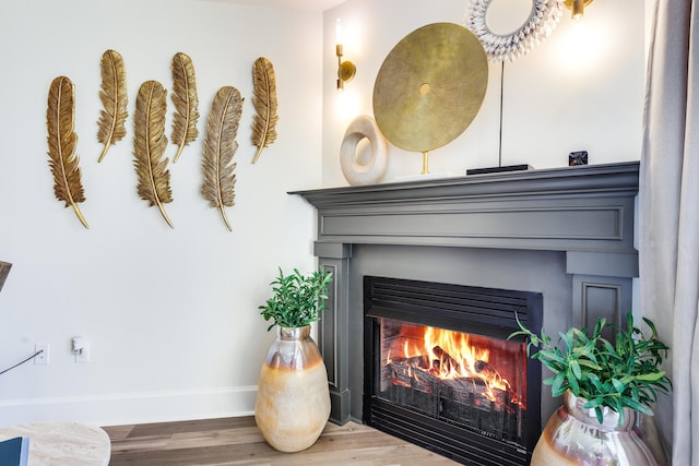 room details with hardwood / wood-style flooring