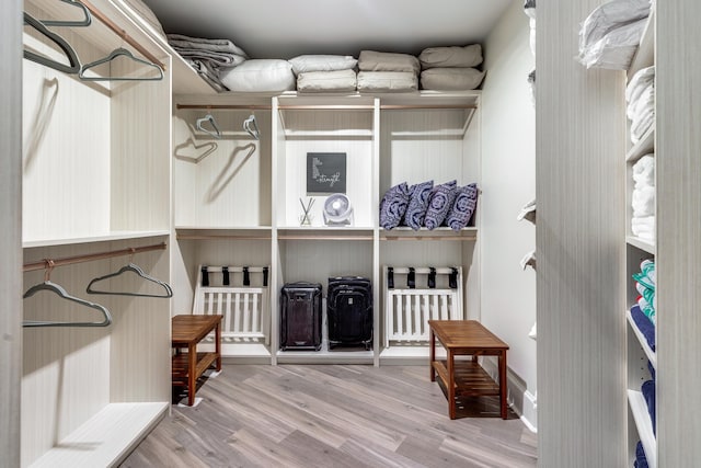 spacious closet with hardwood / wood-style flooring