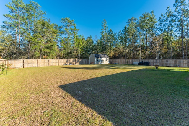 view of yard featuring a storage unit