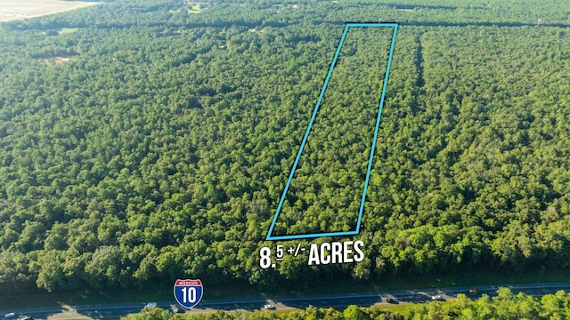 Listing photo 2 for 8.5ACRES Lyons Pl, Holt FL 32564