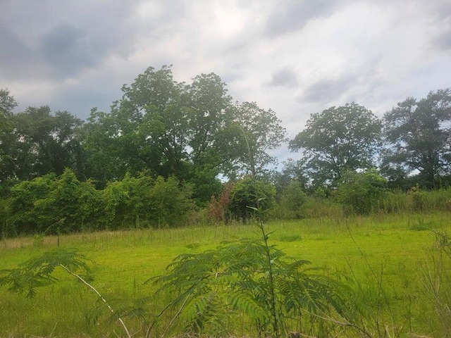 16ACRES Williams Rd, Defuniak Springs, FL 32433