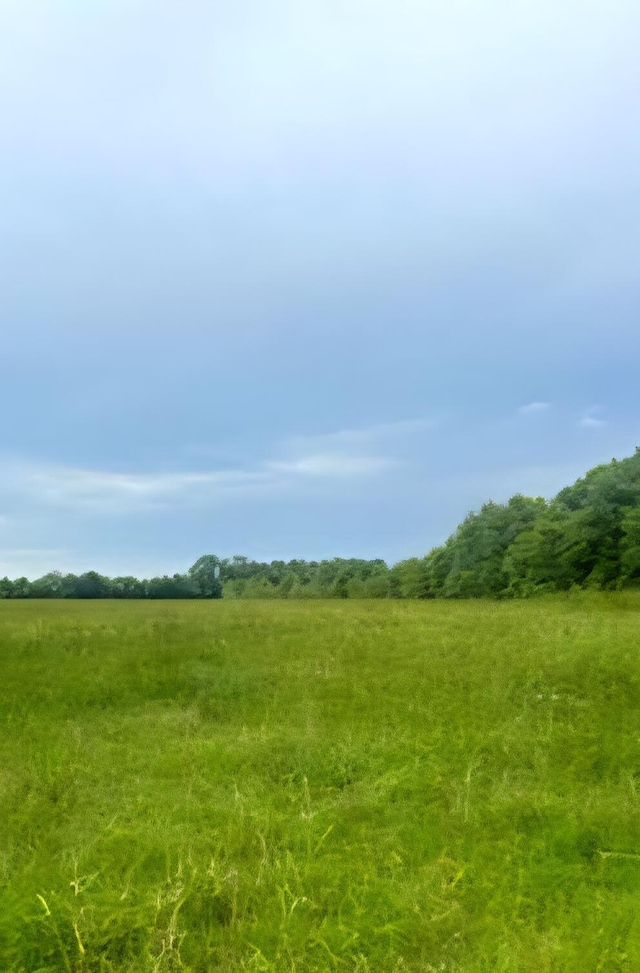 16ACRES Williams Rd, Defuniak Springs, FL 32433