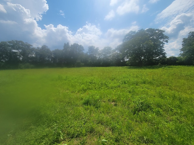 16ACRES Williams Rd, Defuniak Springs, FL 32433 - photo 8