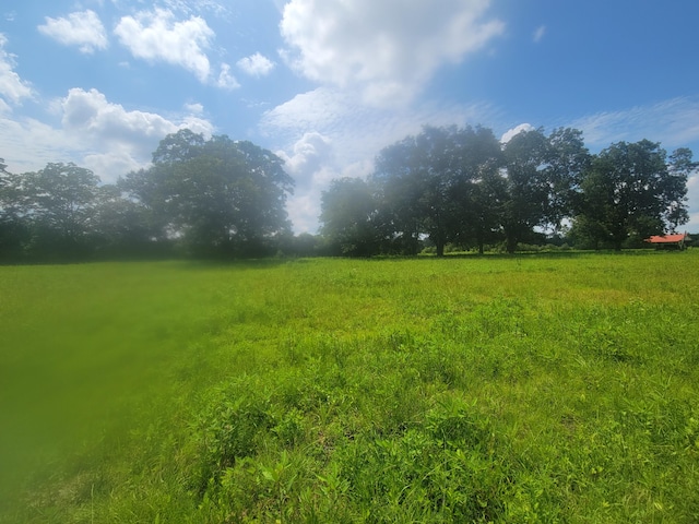 16ACRES Williams Rd, Defuniak Springs, FL 32433 - photo 9