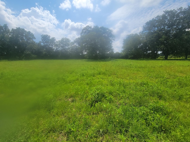16ACRES Williams Rd, Defuniak Springs, FL 32433 - photo 10